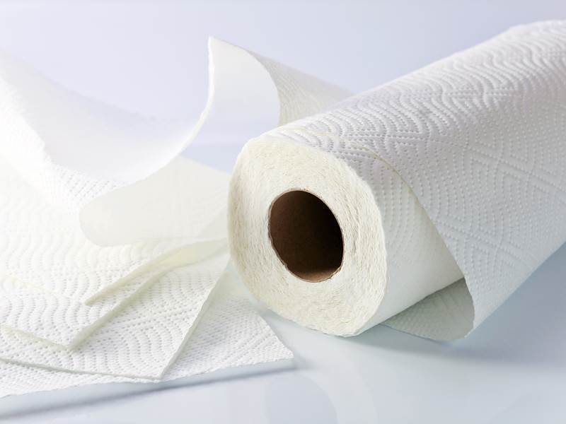 Hand Hygiene: Paper Towels Are an Efficient Option