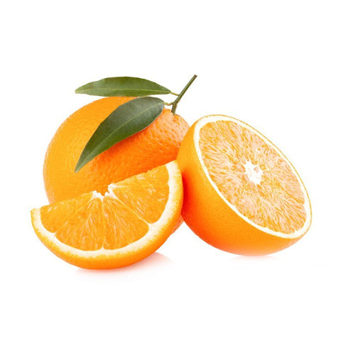 Florida Oranges