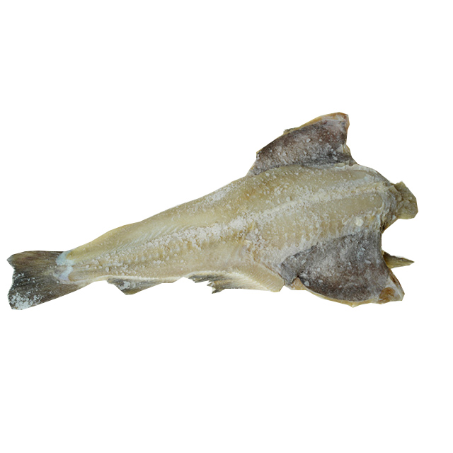 Salt Fish